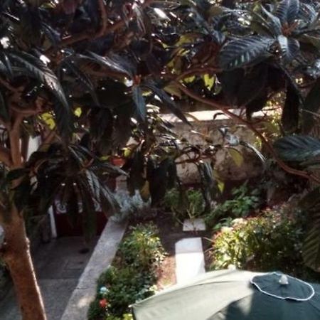 Casa Vacanze Poison Trieszt Kültér fotó