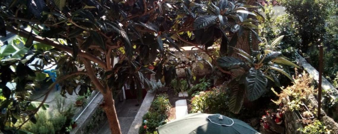 Casa Vacanze Poison Trieszt Kültér fotó